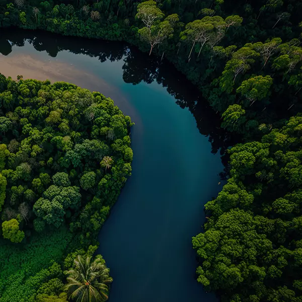 Event: Concessões Florestais na Amazônia -Quais os caminhos para transformar conservação em desenvolvimento econômico? held in Online