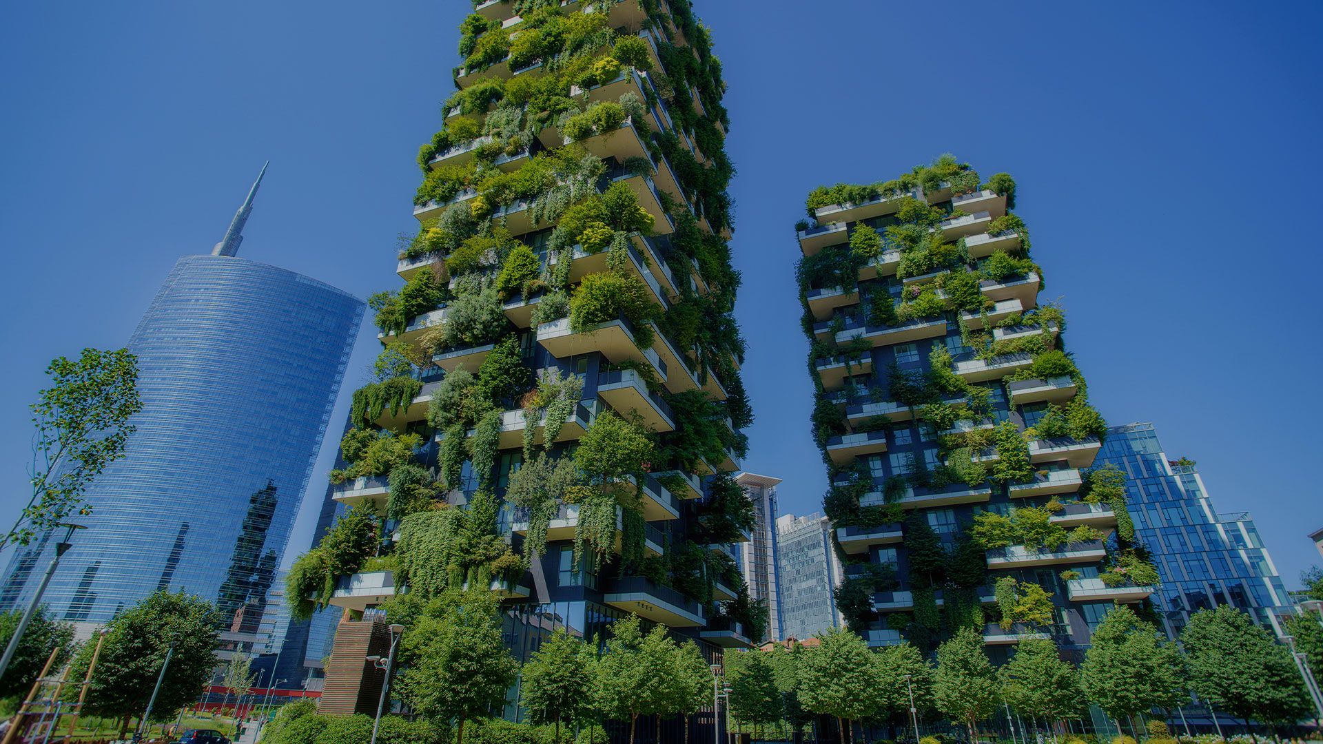 Italy's Investment Cycle