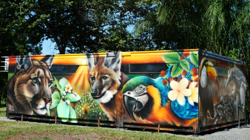 Parceria pela Fauna Silvestre – Acordo de Cooperação Técnica Ecovias Araguaia e  CETAS/GO – IBAMA