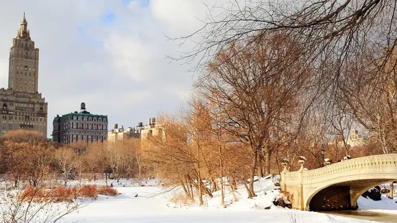 Congelar los alquileres: ¿solución rápida o retroceso urbano anunciado?