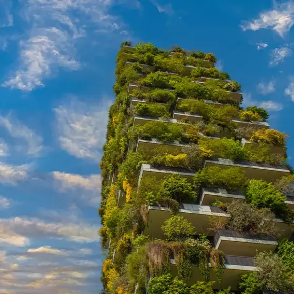 Beyond Green Buildings